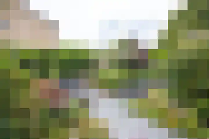 Aardbolhof 3 Maarn thumbnail 37