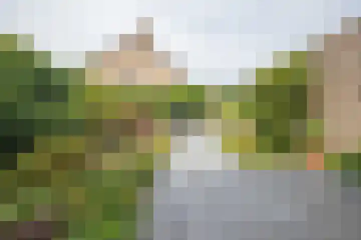 Aardbolhof 3 Maarn thumbnail 39