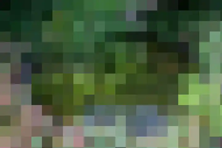 Aardbolhof 3 Maarn thumbnail 40