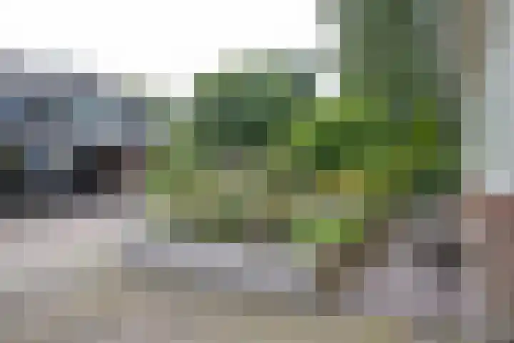 Aardbolhof 3 Maarn thumbnail 41
