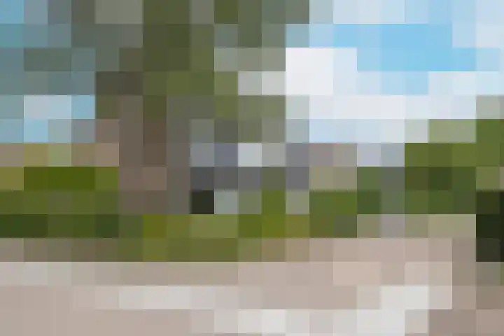 Aardbolhof 3 Maarn thumbnail 44
