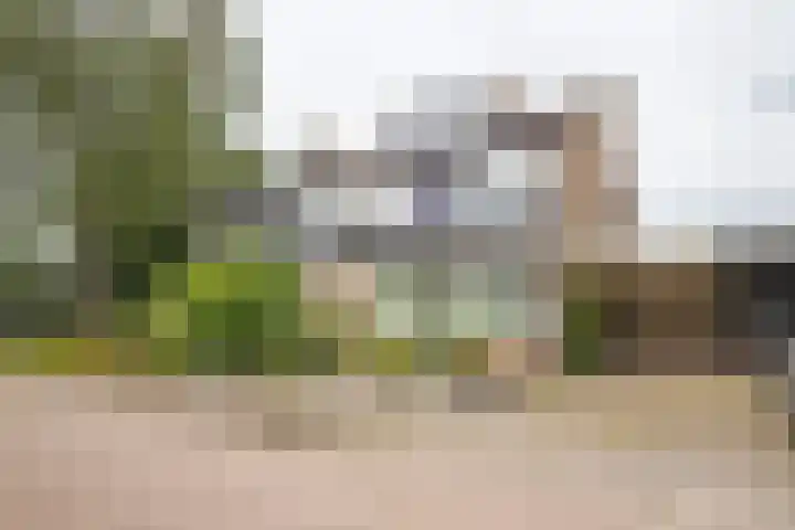 Aardbolhof 3 Maarn thumbnail 56