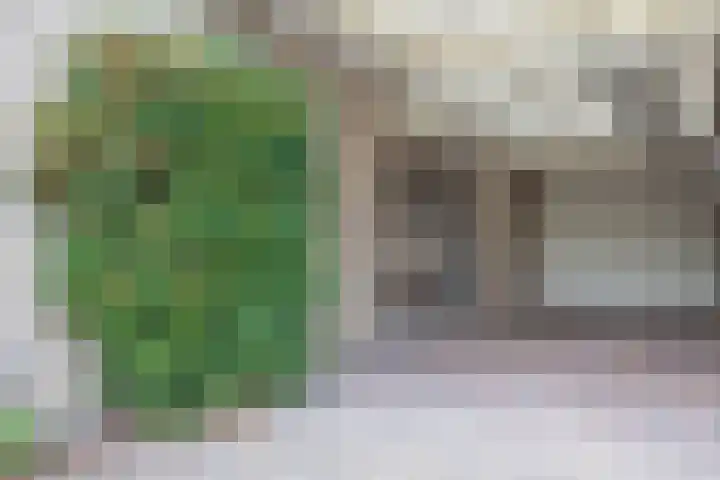 Aardbolhof 3 Maarn thumbnail 6