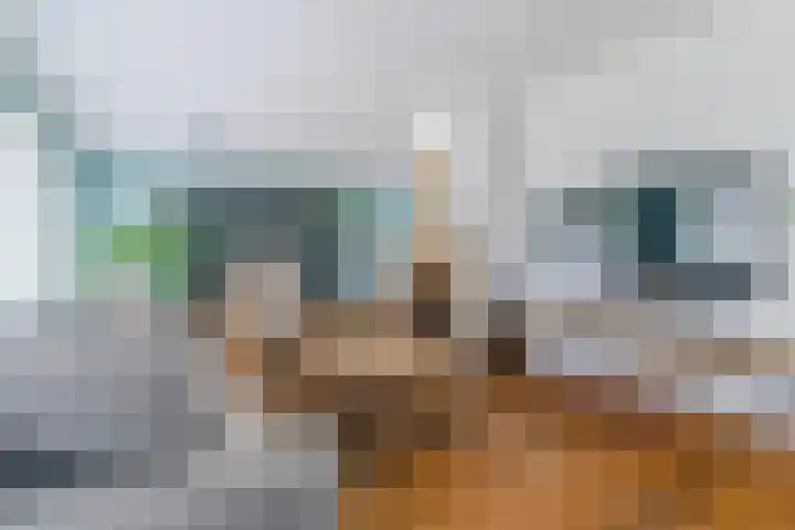 Aardborstweg 25 Mierlo thumbnail 12