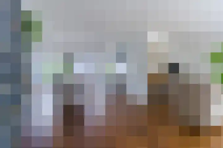 Aardborstweg 25 Mierlo thumbnail 14