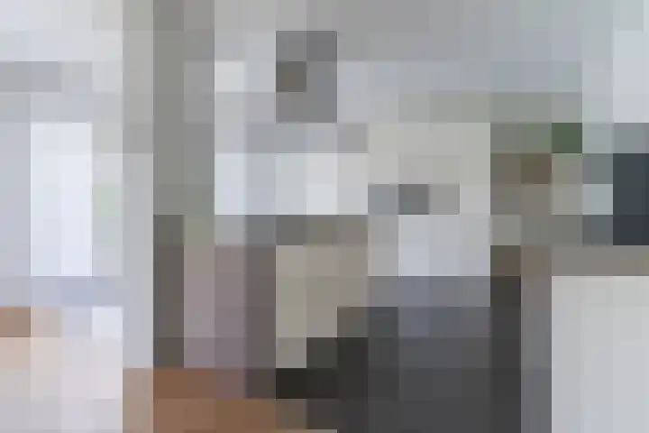Aardborstweg 25 Mierlo thumbnail 16