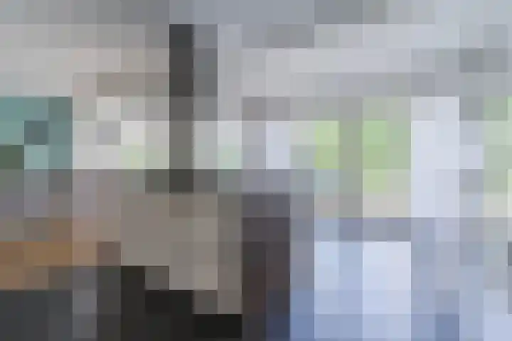 Aardborstweg 25 Mierlo thumbnail 17