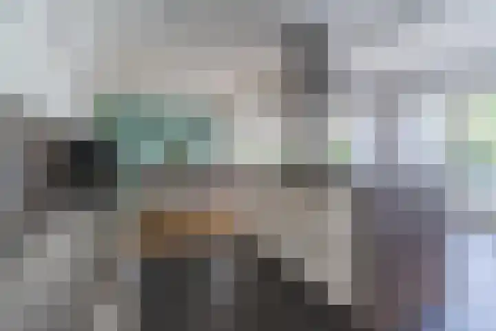 Aardborstweg 25 Mierlo thumbnail 18