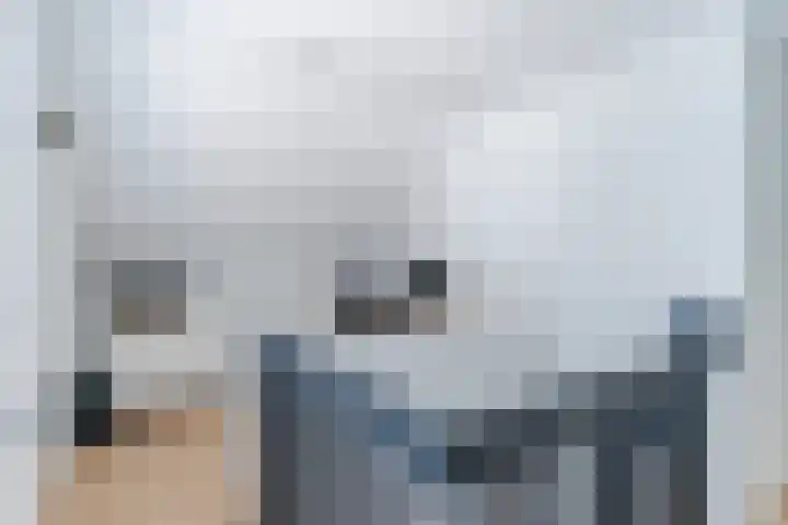 Aardborstweg 25 Mierlo thumbnail 23