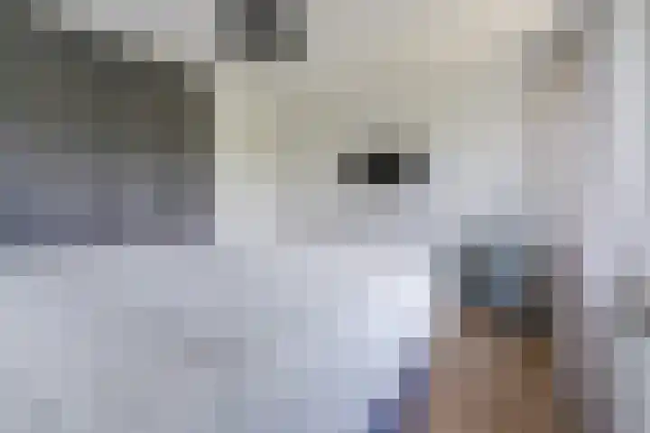 Aardborstweg 25 Mierlo thumbnail 28