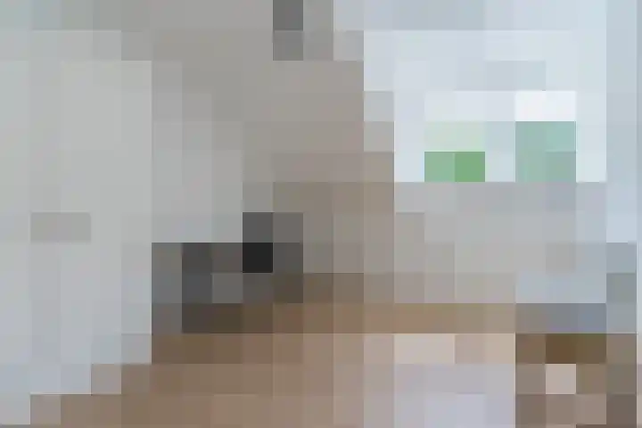 Aardborstweg 25 Mierlo thumbnail 33