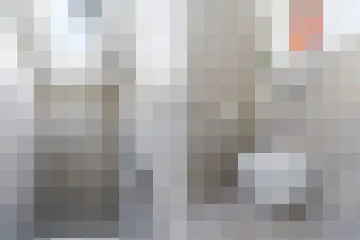 Aardborstweg 25 Mierlo thumbnail 37