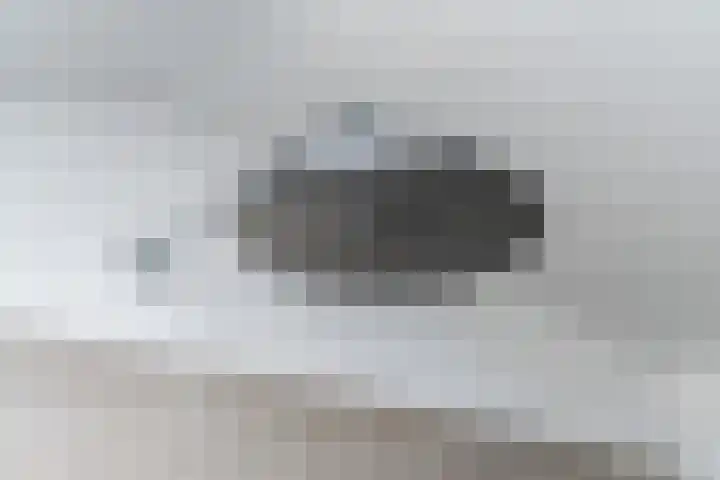 Aardborstweg 25 Mierlo thumbnail 39