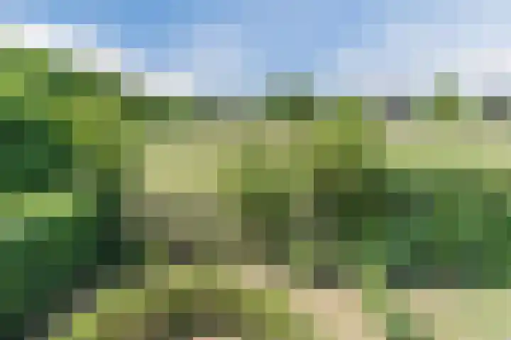 Aardborstweg 25 Mierlo thumbnail 42
