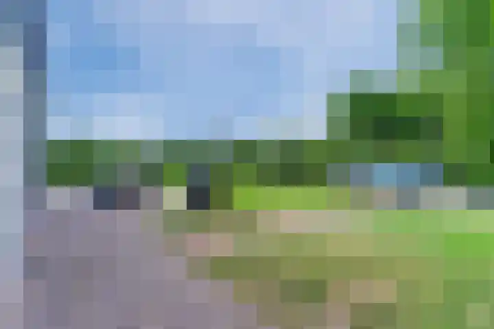 Aardborstweg 25 Mierlo thumbnail 43