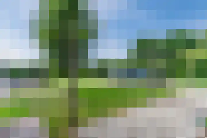 Aardborstweg 25 Mierlo thumbnail 45