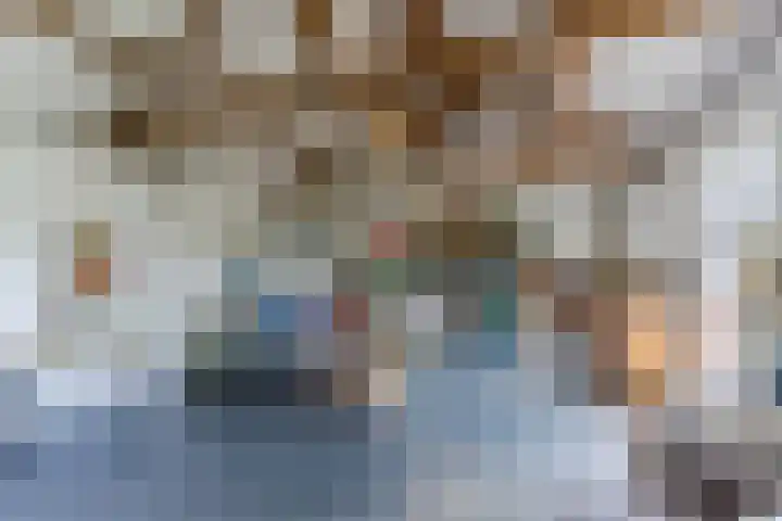 Aardborstweg 25 Mierlo thumbnail 46