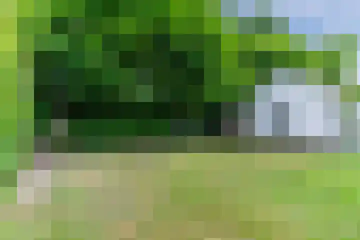 Aardborstweg 25 Mierlo thumbnail 49