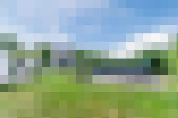Aardborstweg 25 Mierlo thumbnail 50
