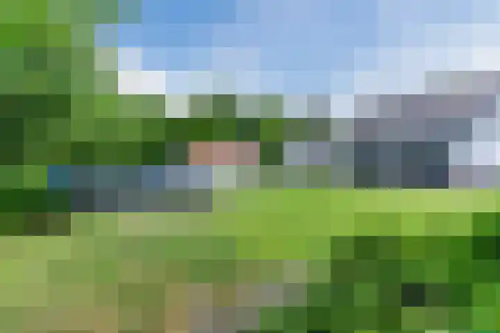 Aardborstweg 25 Mierlo thumbnail 52