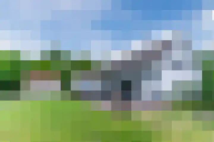 Aardborstweg 25 Mierlo thumbnail 53
