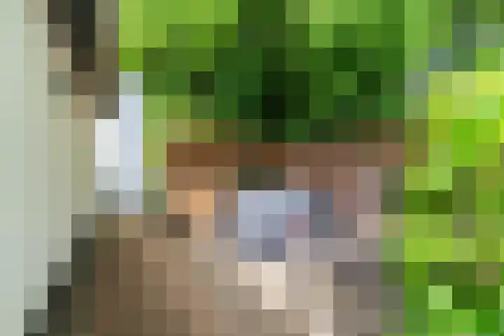 Aardborstweg 25 Mierlo thumbnail 54