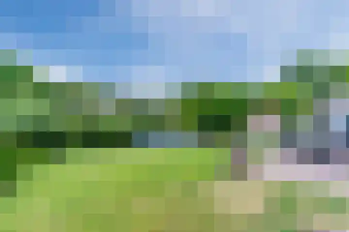 Aardborstweg 25 Mierlo thumbnail 55