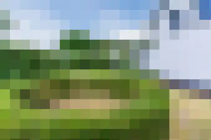 Aardborstweg 25 Mierlo thumbnail 56