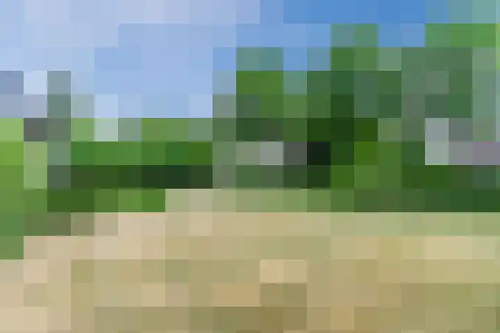 Aardborstweg 25 Mierlo thumbnail 57