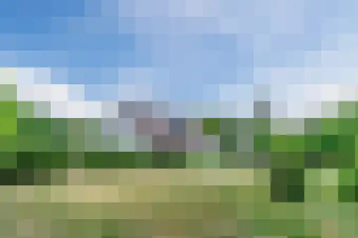 Aardborstweg 25 Mierlo thumbnail 58