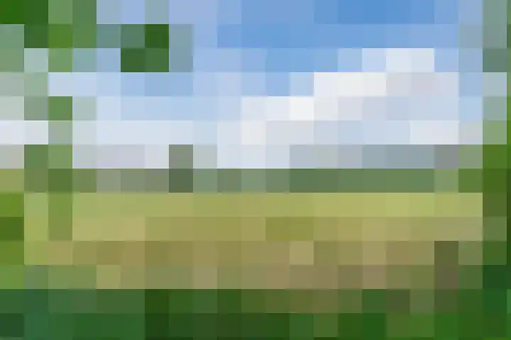 Aardborstweg 25 Mierlo thumbnail 62