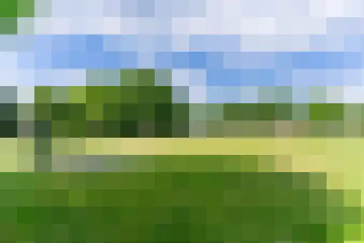 Aardborstweg 25 Mierlo thumbnail 63