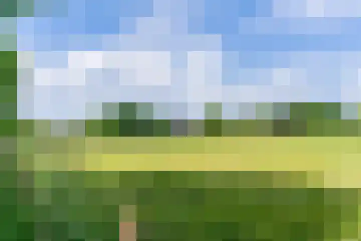 Aardborstweg 25 Mierlo thumbnail 64