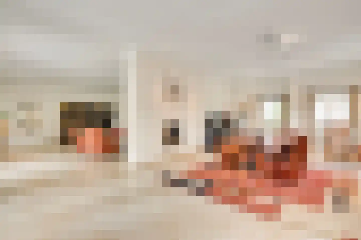 Aardborstweg 38 Mierlo thumbnail 11