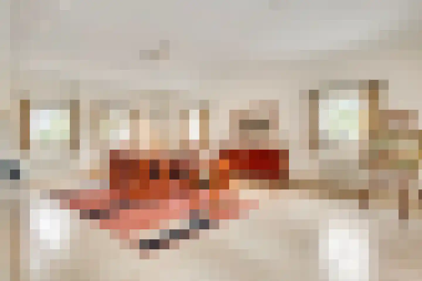 Aardborstweg 38 Mierlo thumbnail 13