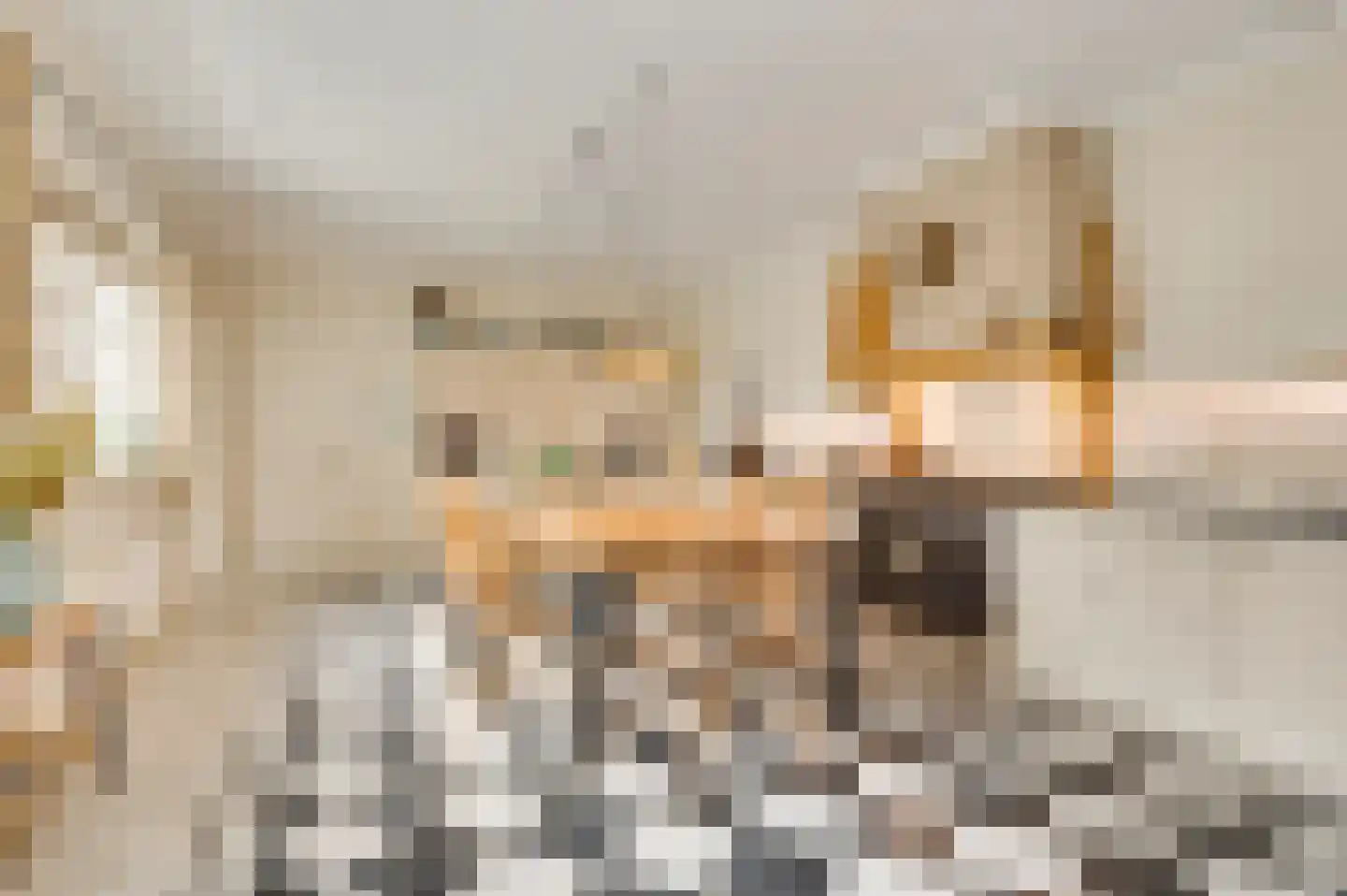 Aardborstweg 38 Mierlo thumbnail 14