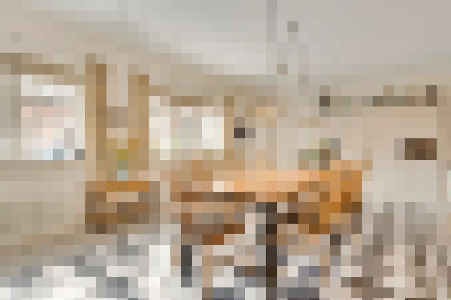 Aardborstweg 38 Mierlo thumbnail 15