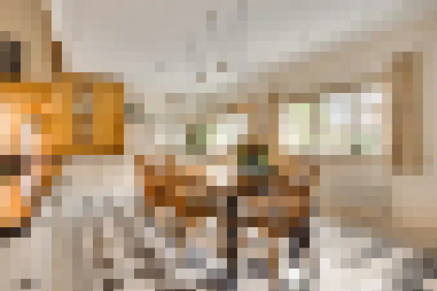 Aardborstweg 38 Mierlo thumbnail 16