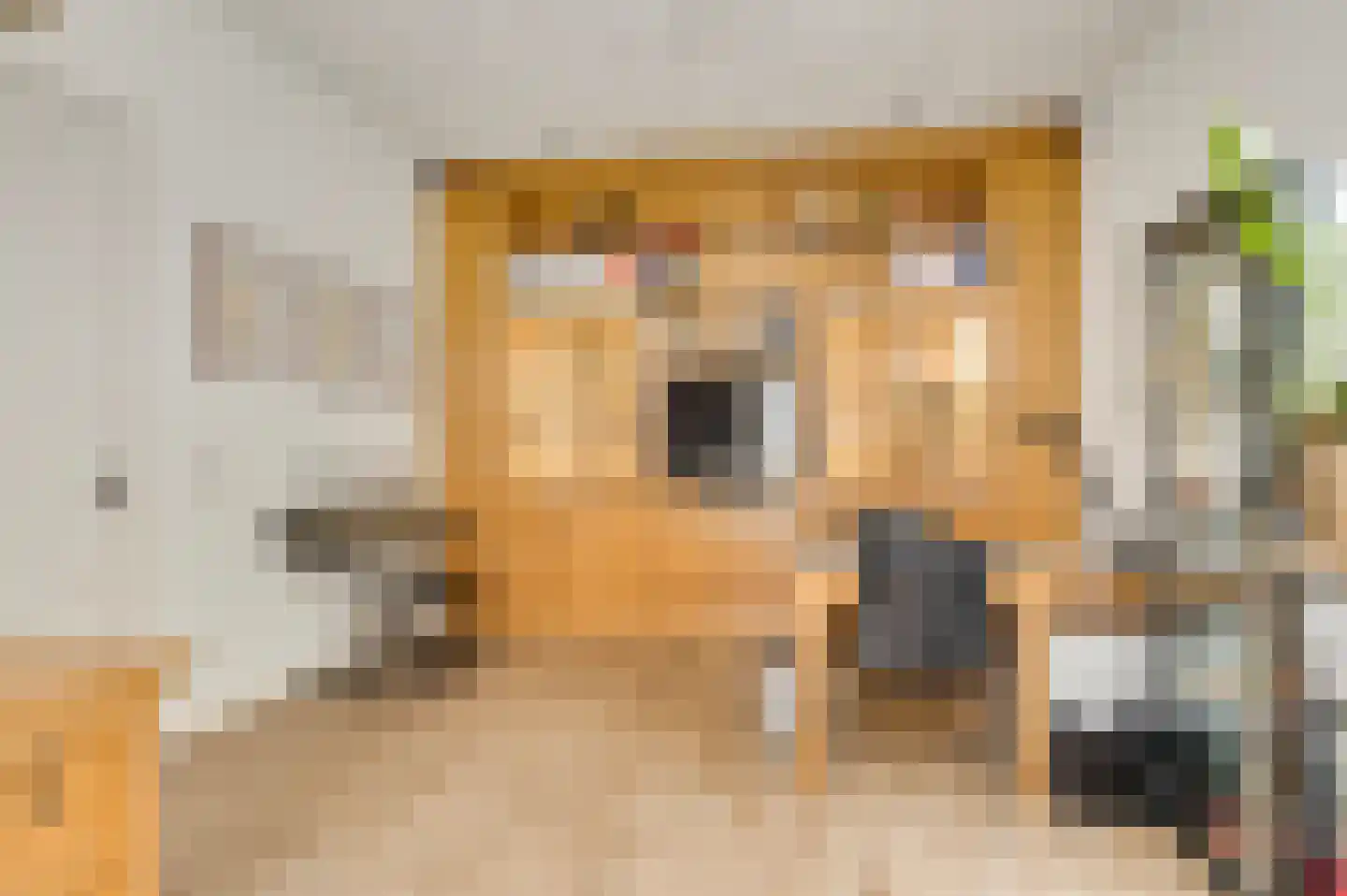 Aardborstweg 38 Mierlo thumbnail 18