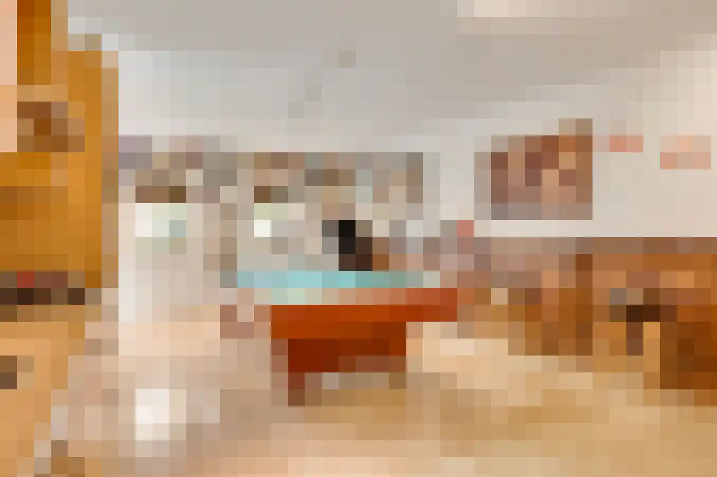 Aardborstweg 38 Mierlo thumbnail 21
