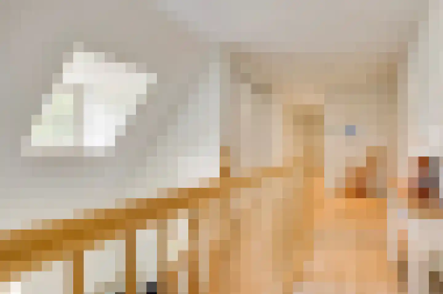 Aardborstweg 38 Mierlo thumbnail 24