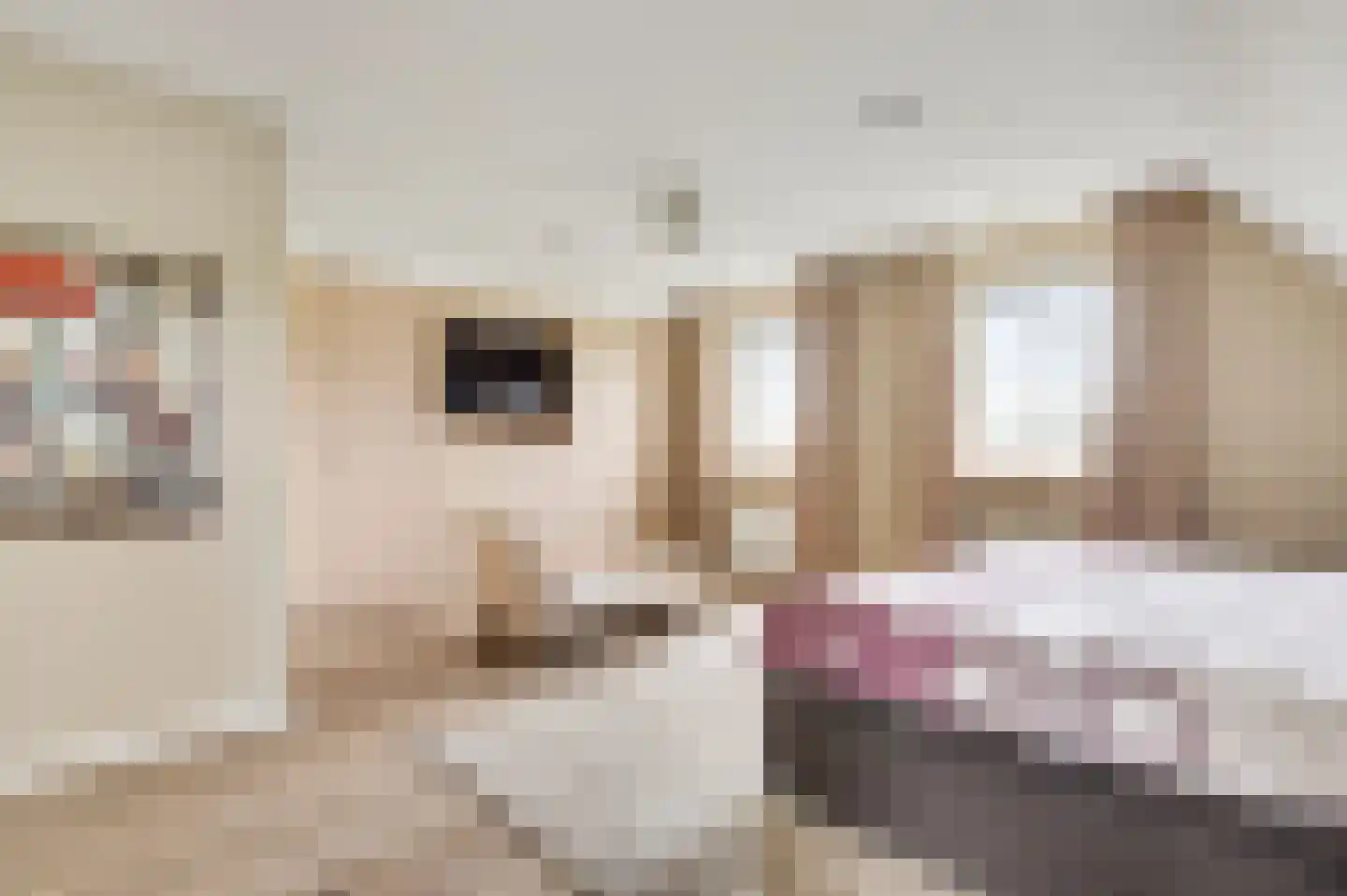 Aardborstweg 38 Mierlo thumbnail 26
