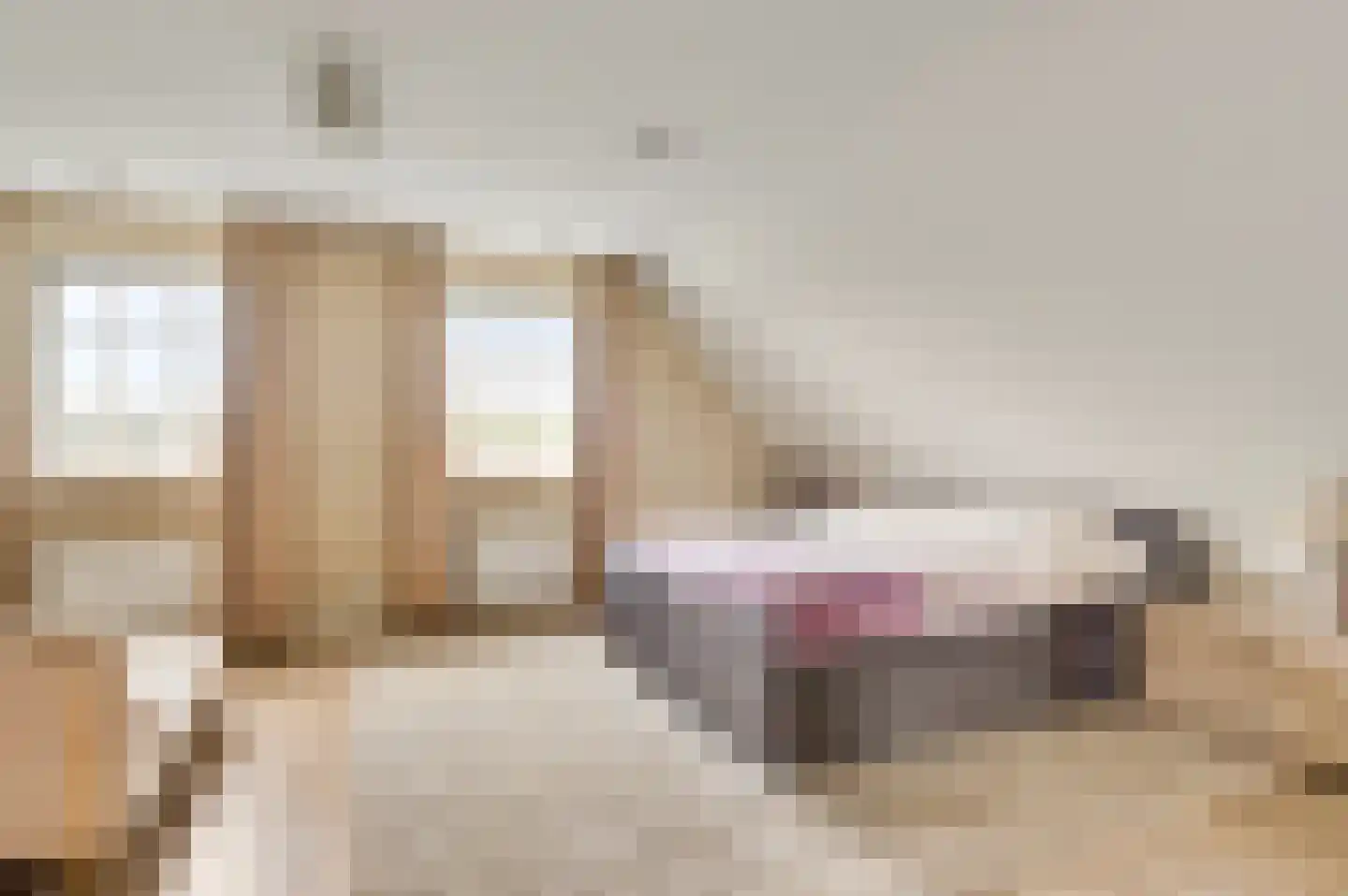 Aardborstweg 38 Mierlo thumbnail 27