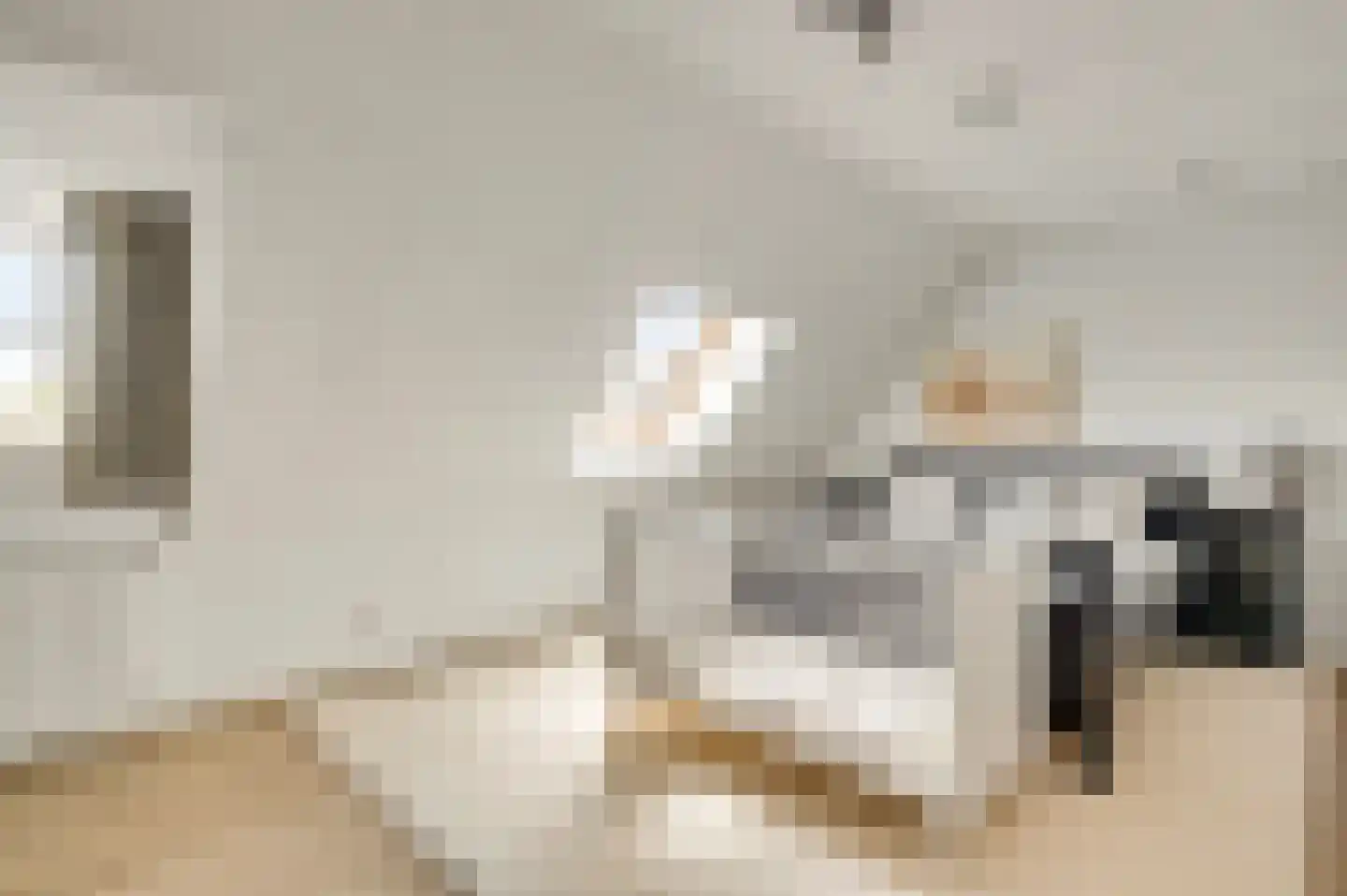 Aardborstweg 38 Mierlo thumbnail 33