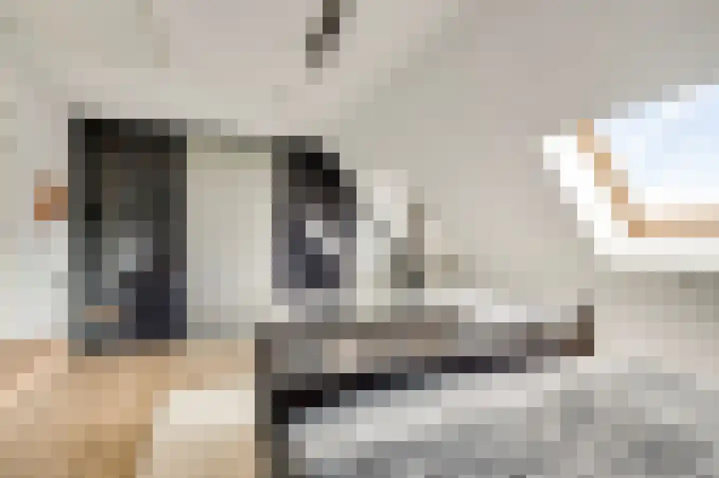 Aardborstweg 38 Mierlo thumbnail 34