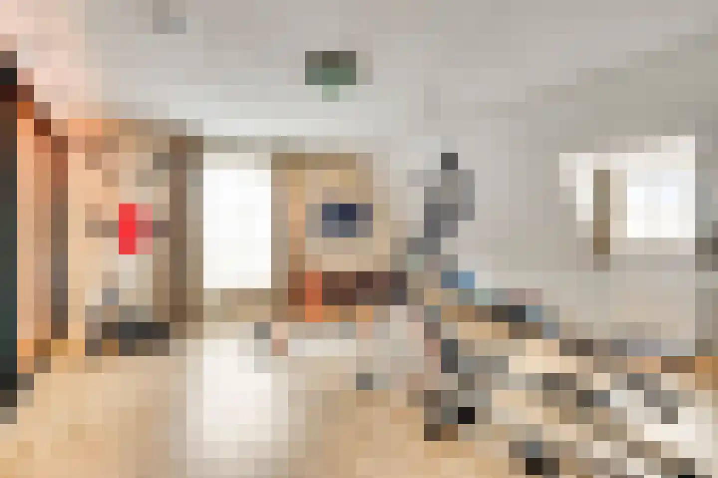 Aardborstweg 38 Mierlo thumbnail 35