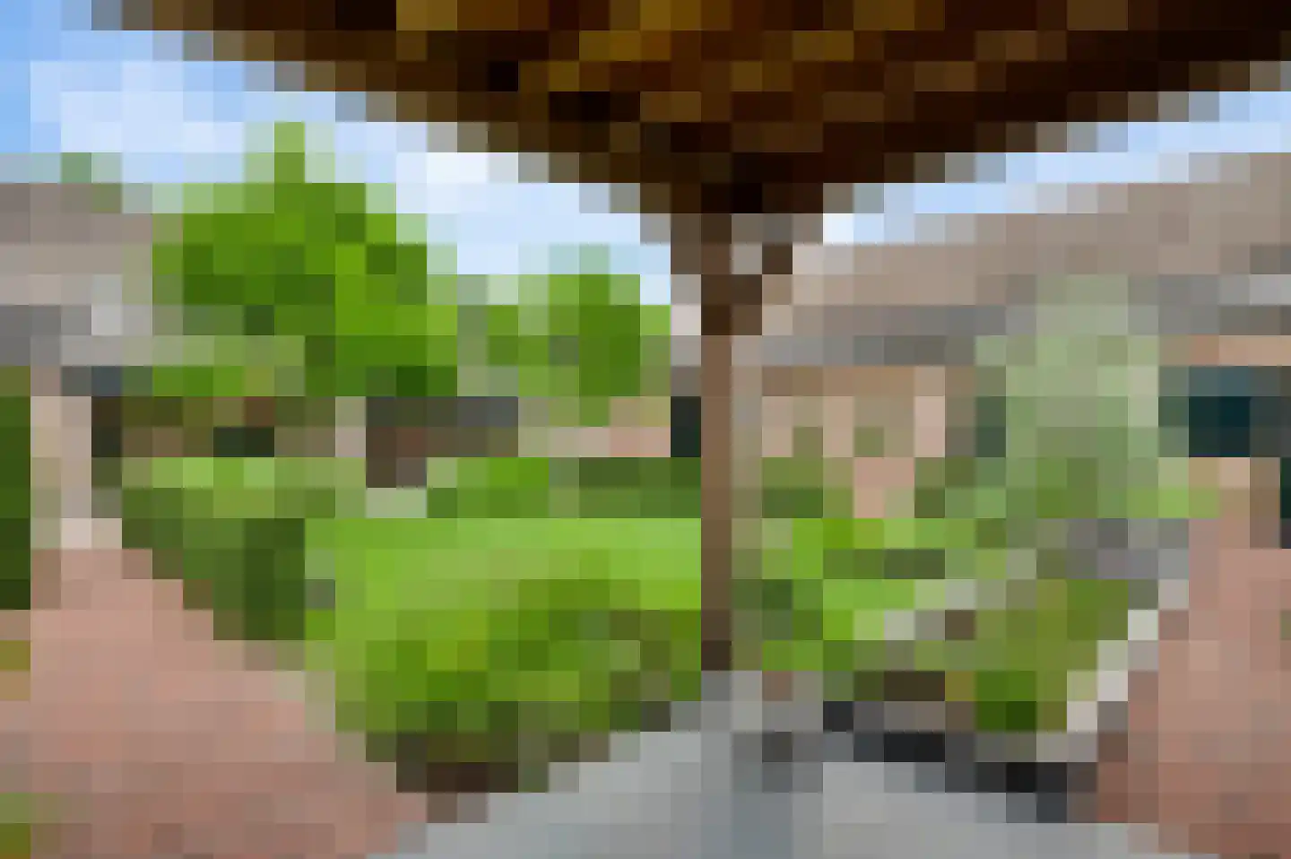 Aardborstweg 38 Mierlo thumbnail 37
