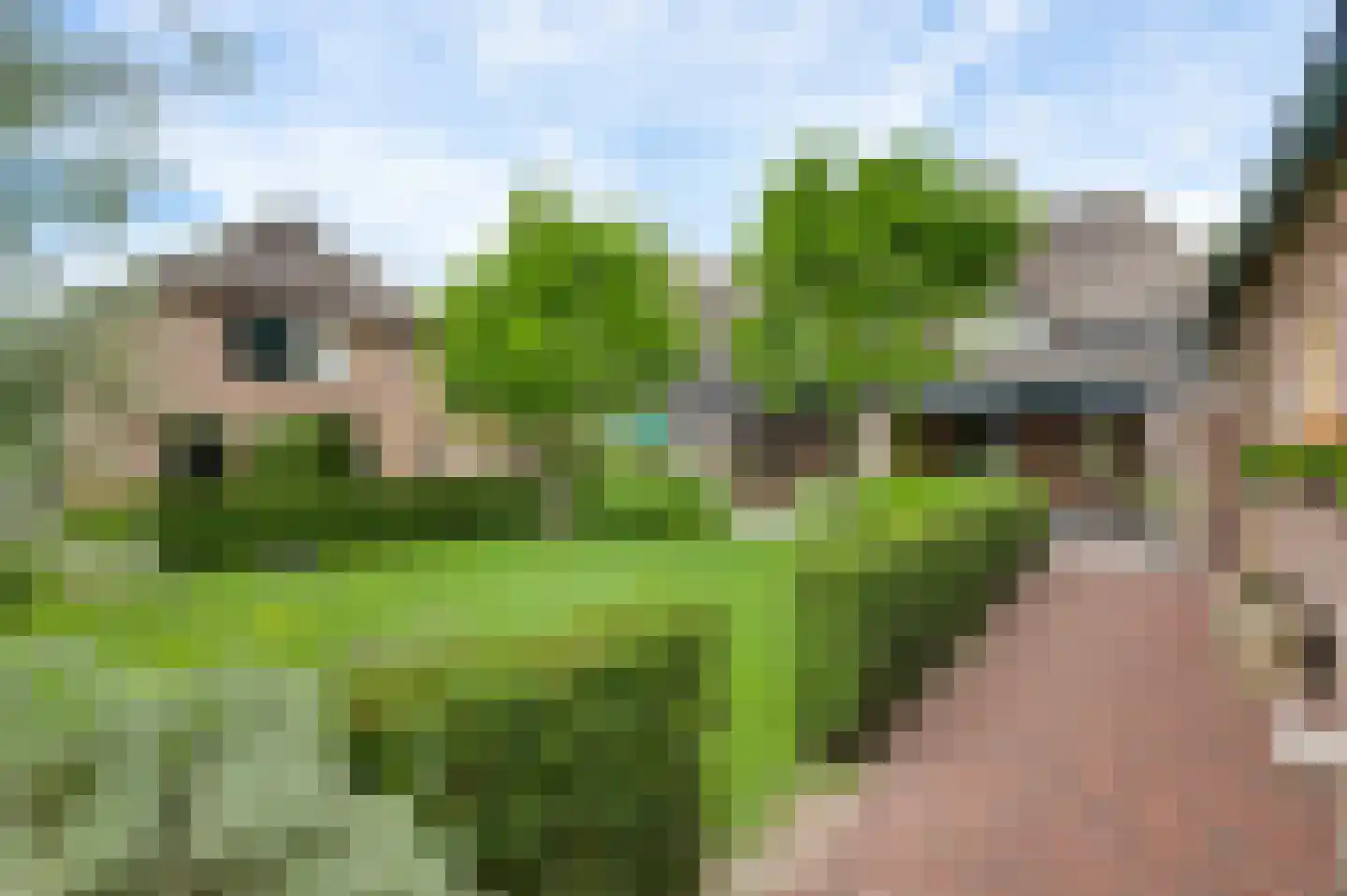 Aardborstweg 38 Mierlo thumbnail 39
