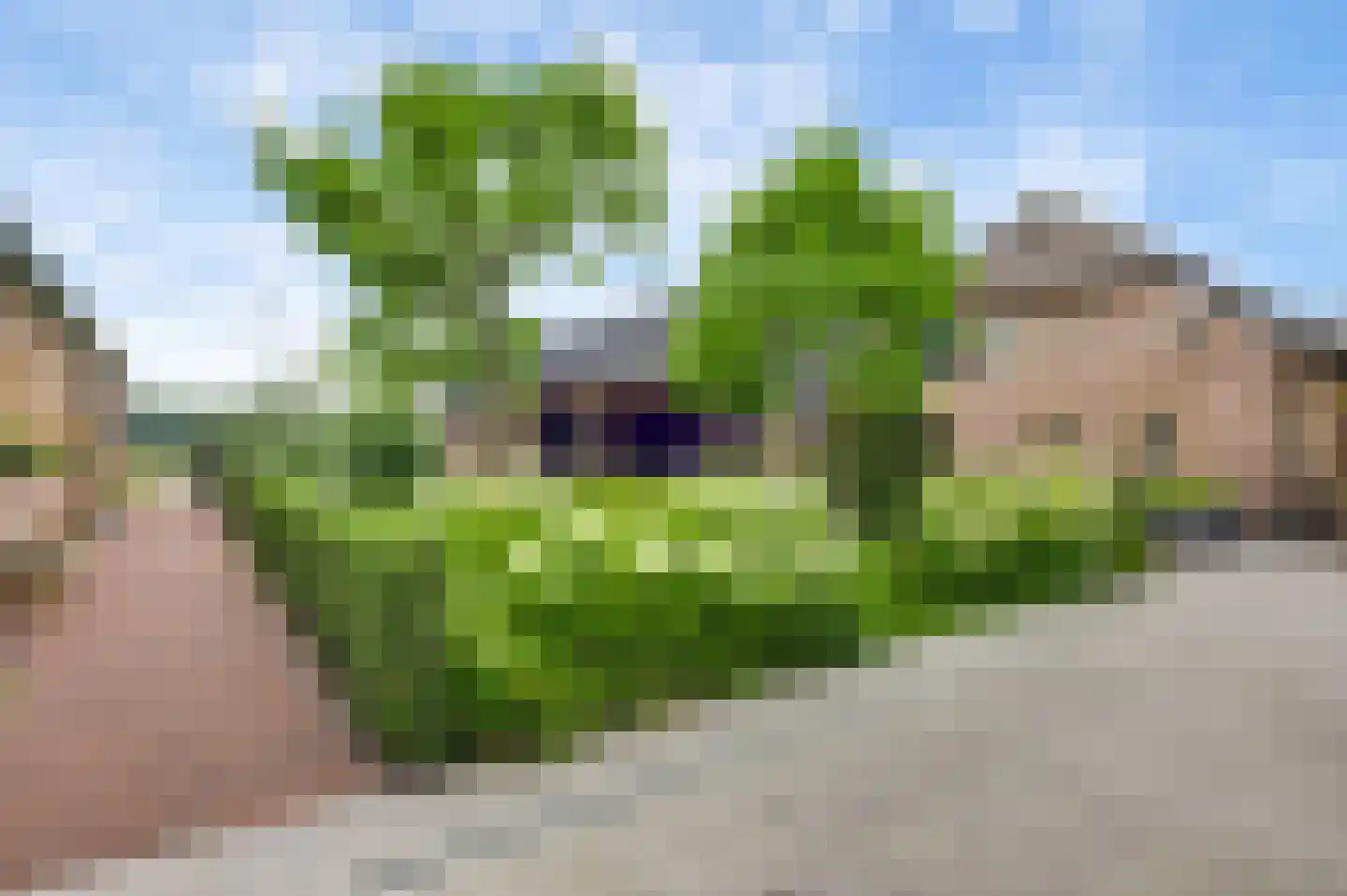 Aardborstweg 38 Mierlo thumbnail 40