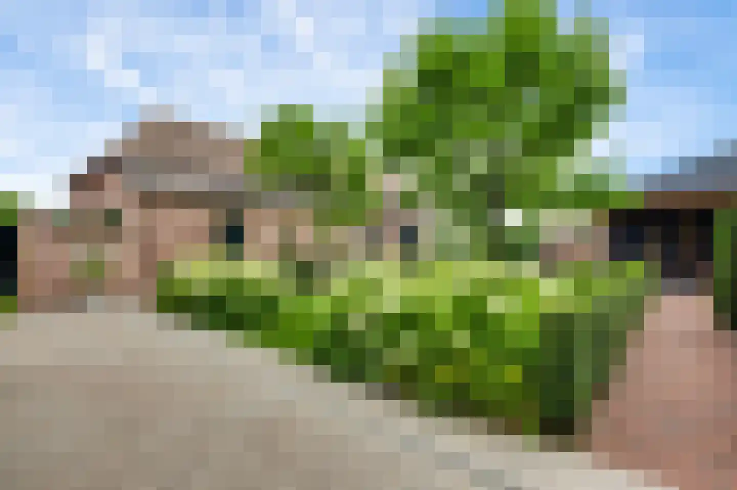 Aardborstweg 38 Mierlo thumbnail 42